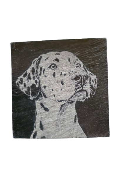Dog Coasters
