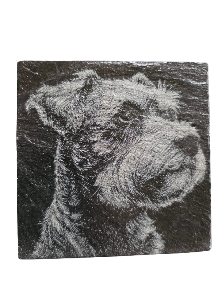 Dog Coasters