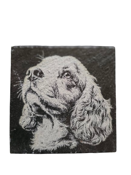 Dog Coasters
