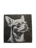 Dog Coasters