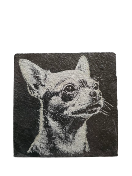 Dog Coasters