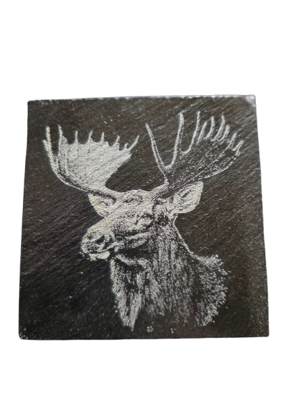 Animal Coasters