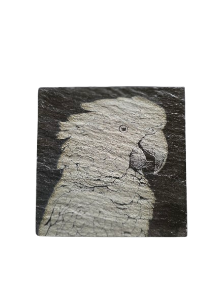 Animal Coasters