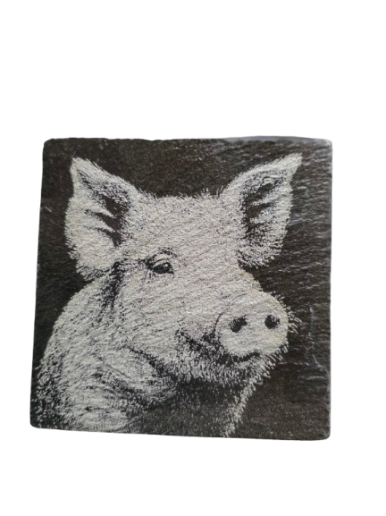 Animal Coasters