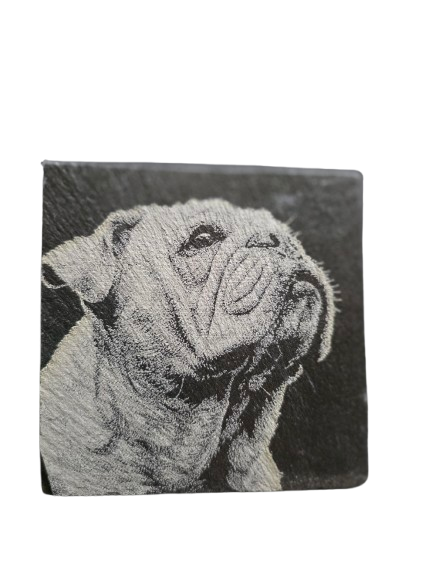 Dog Coasters
