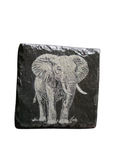 Animal Coasters