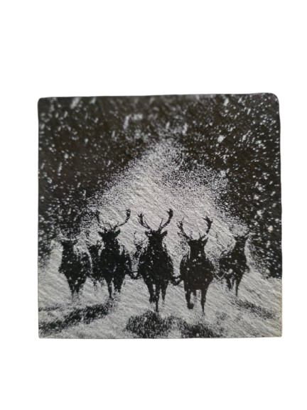 Christmas Coasters