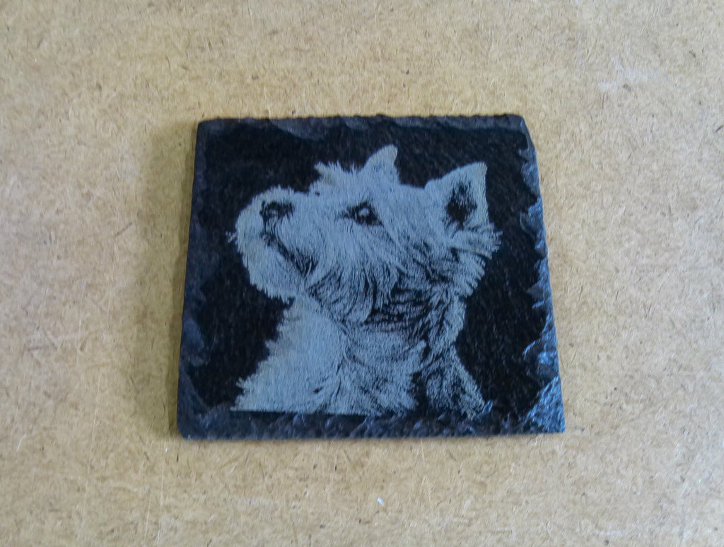 Dog Coasters