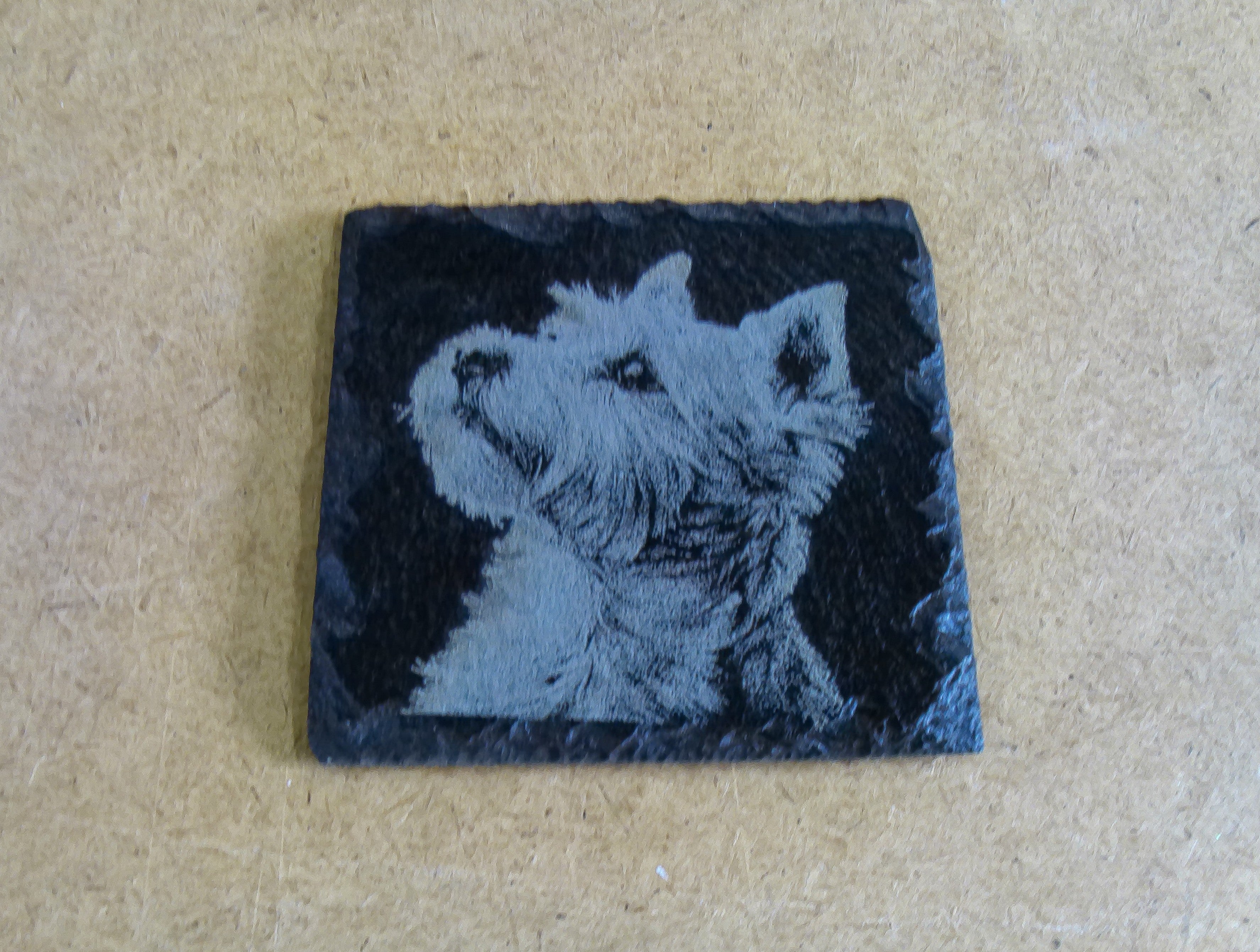 Dog Coasters