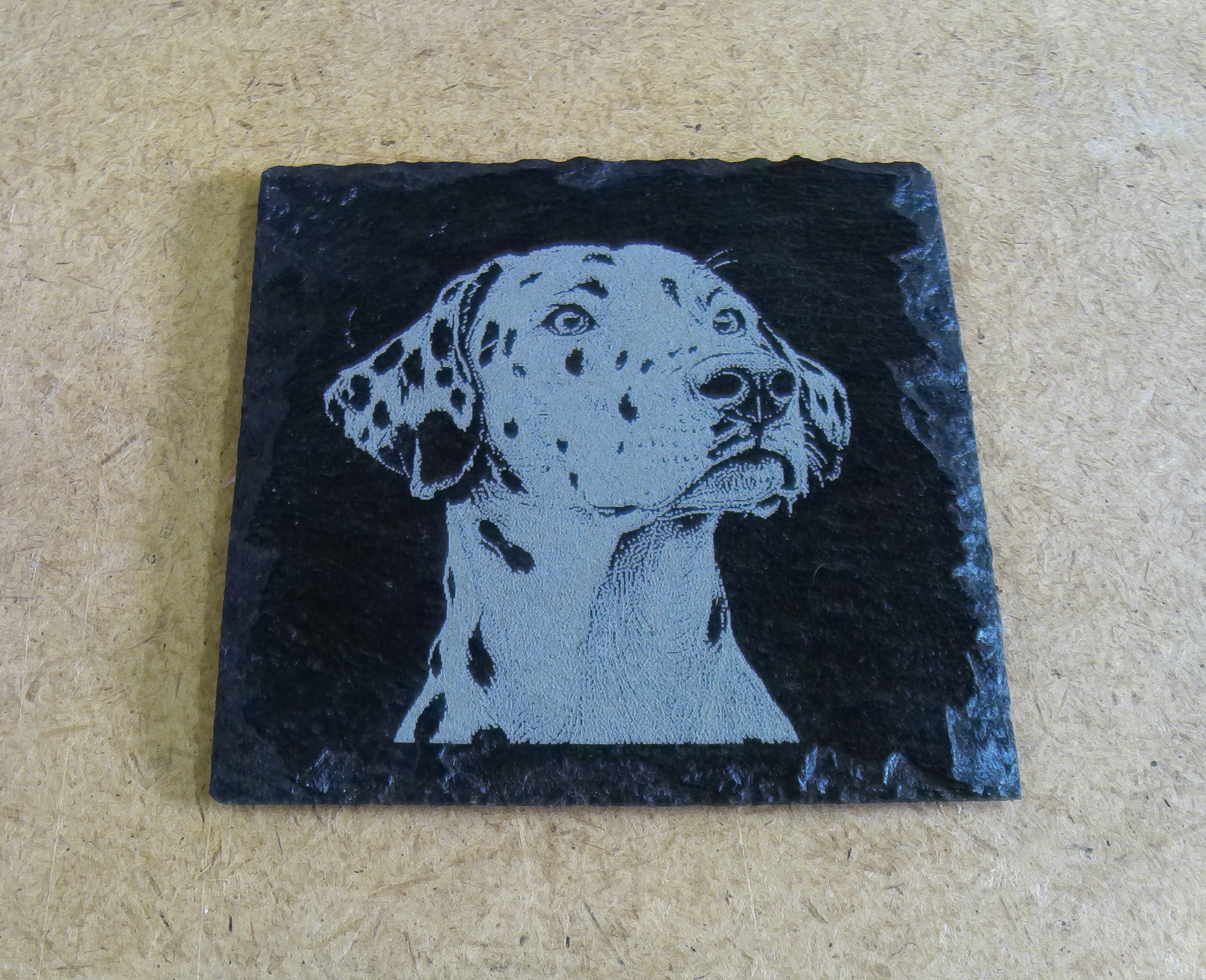 Dog Coasters