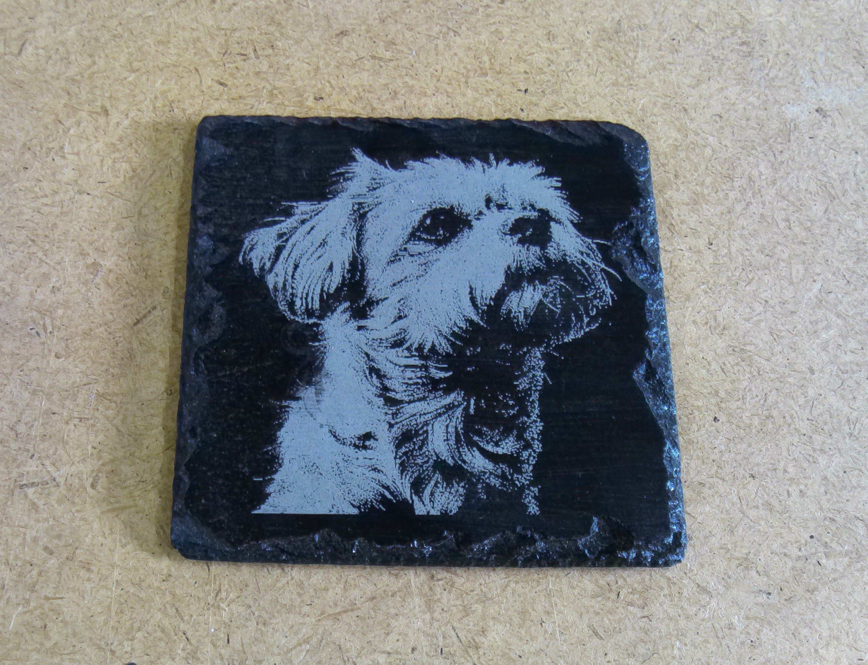 Dog Coasters