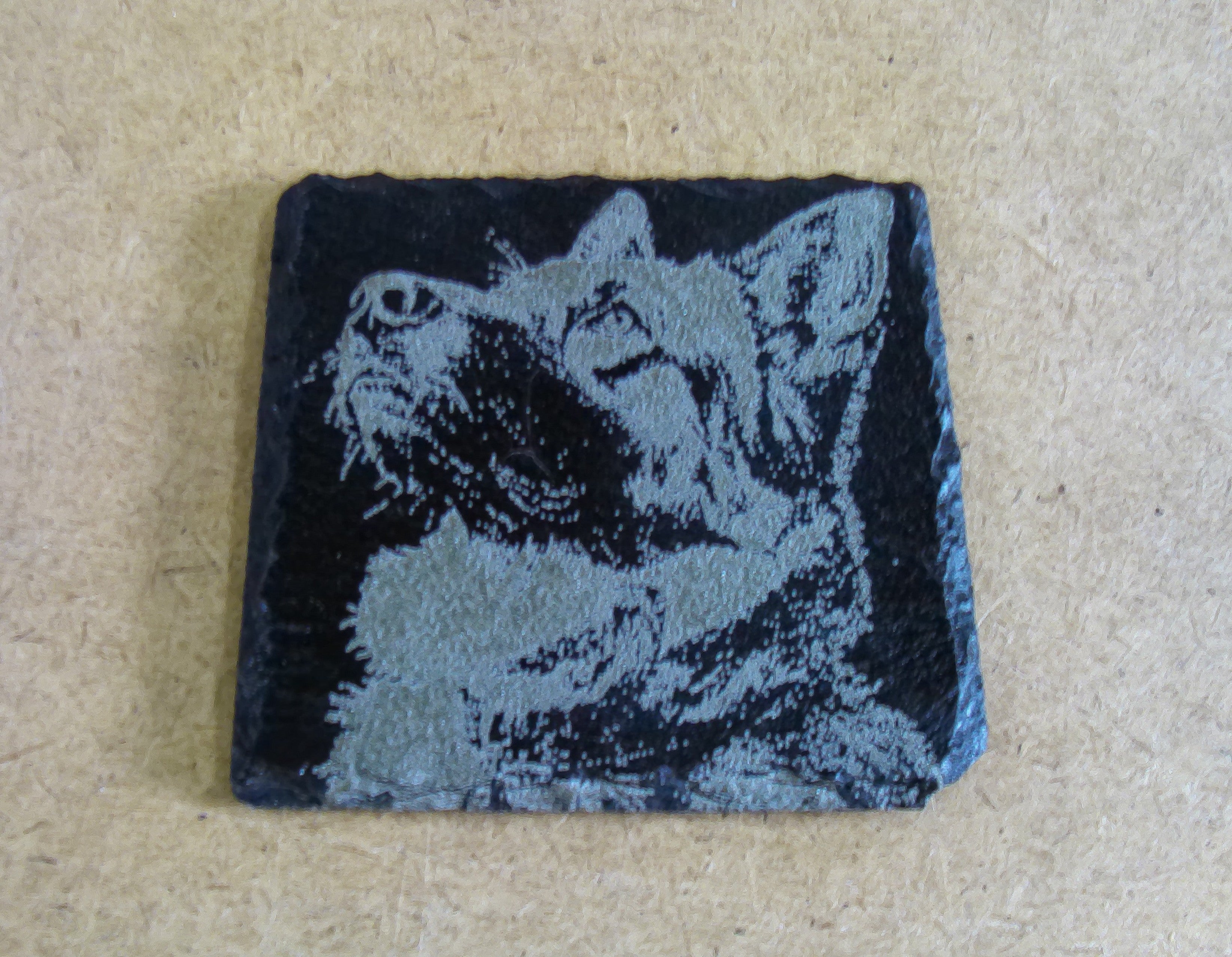 Dog Coasters