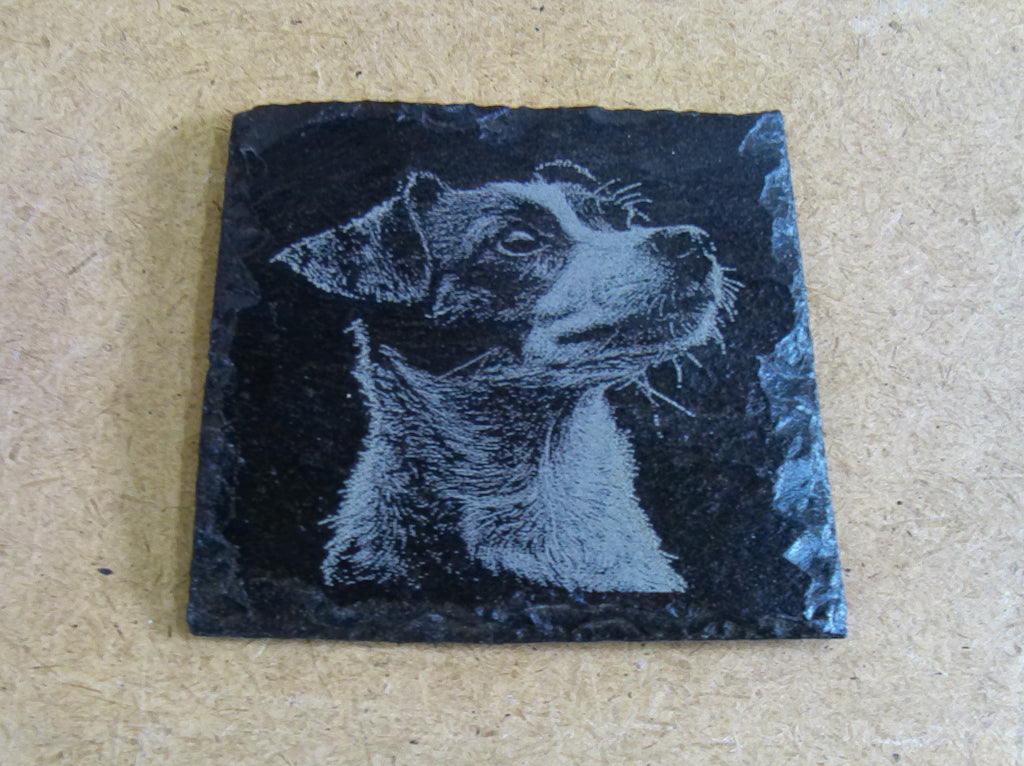Dog Coasters