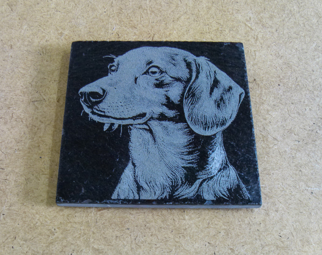 Dog Coasters