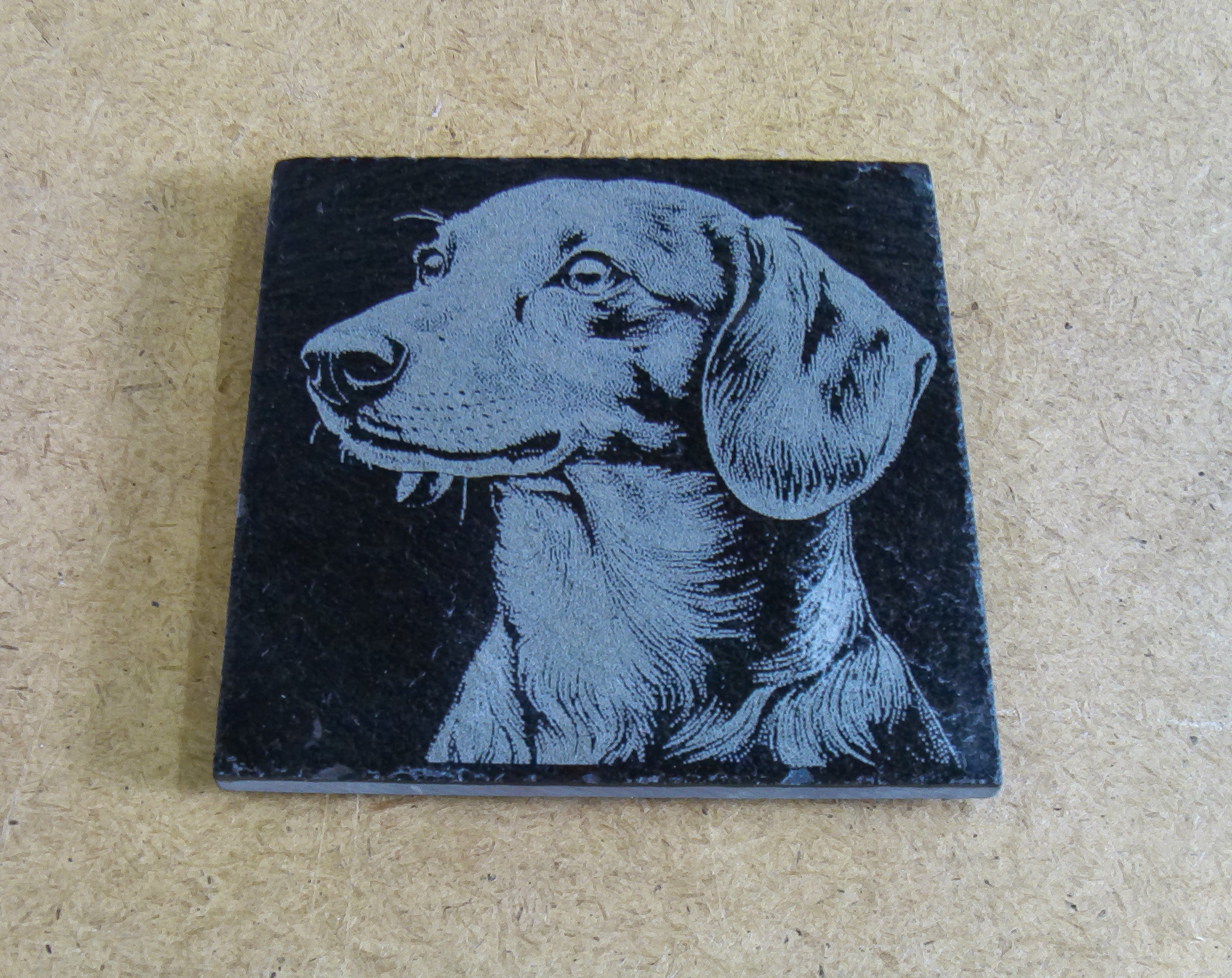 Dog Coasters