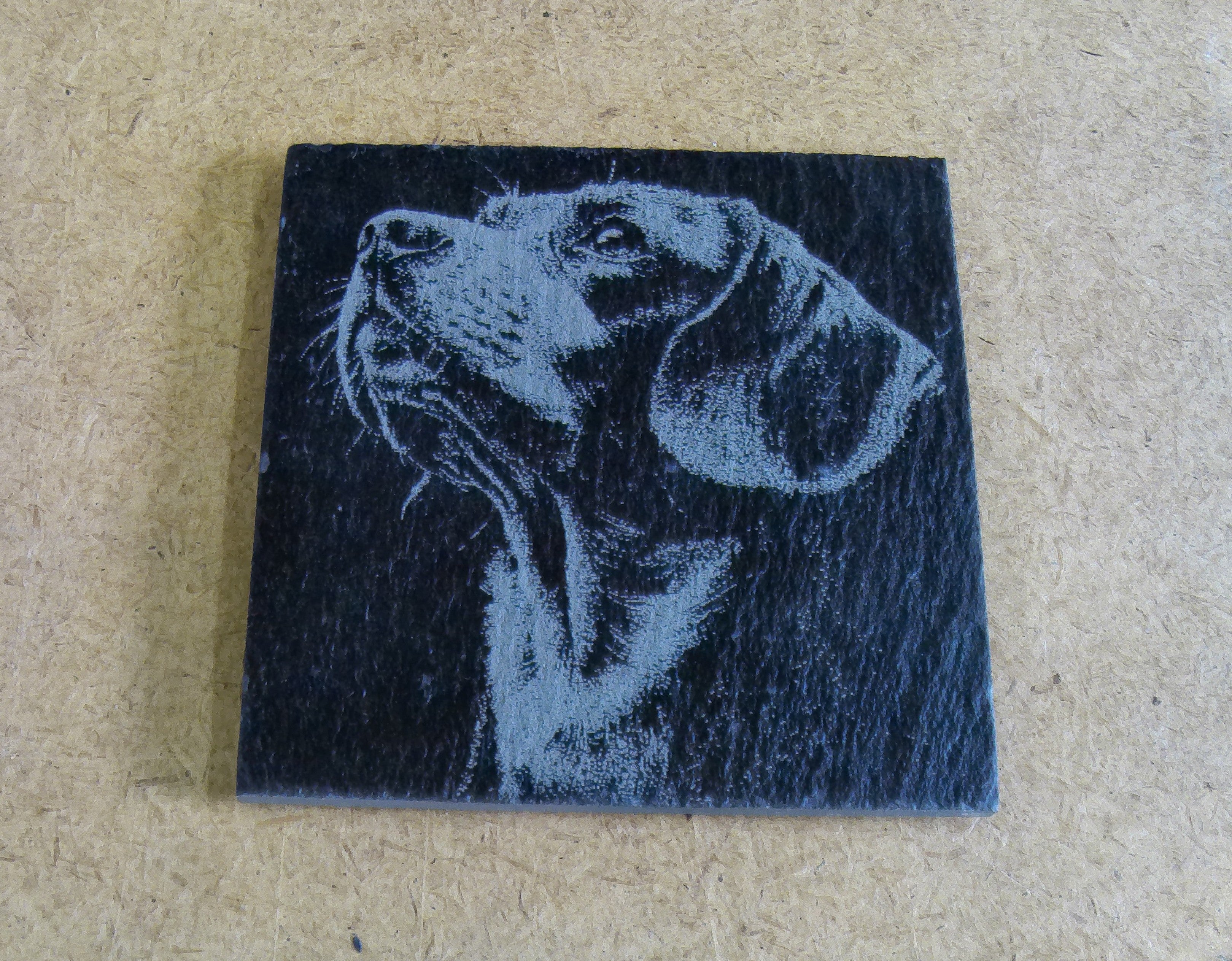 Dog Coasters