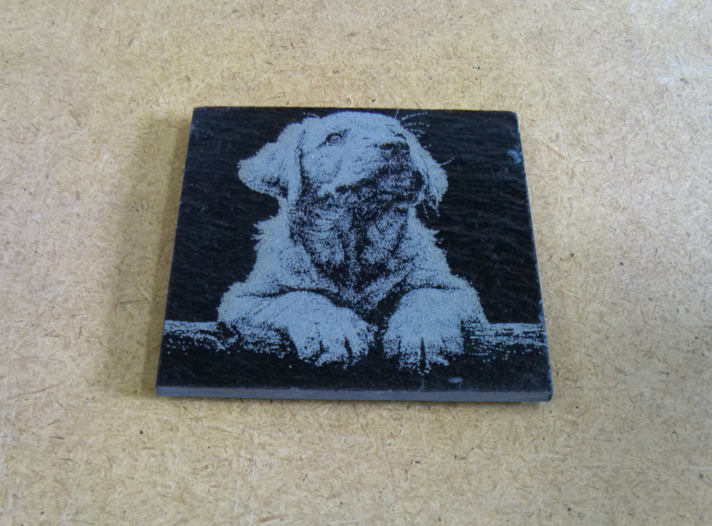 Dog Coasters