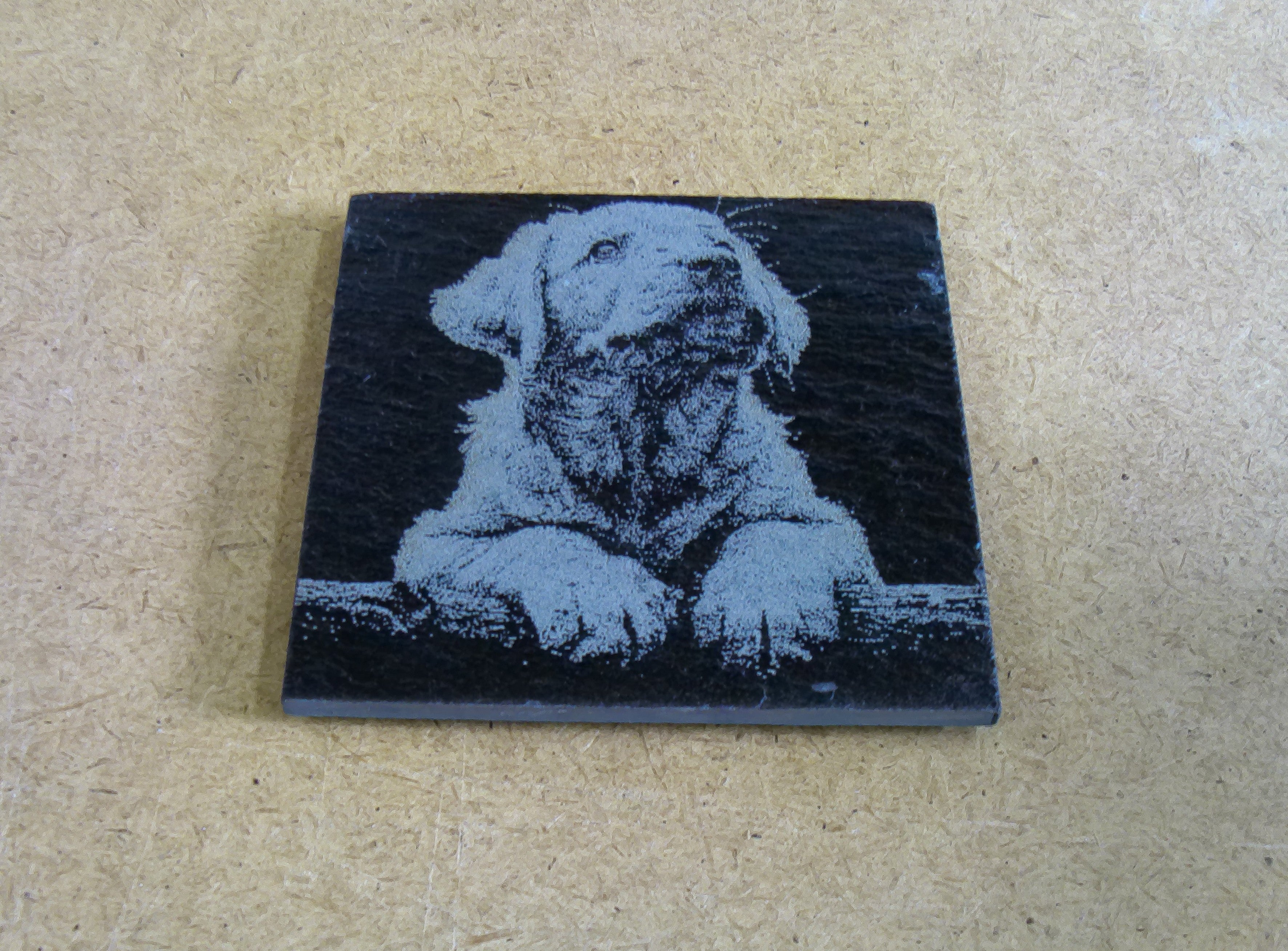 Dog Coasters
