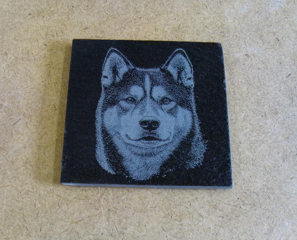 Dog Coasters