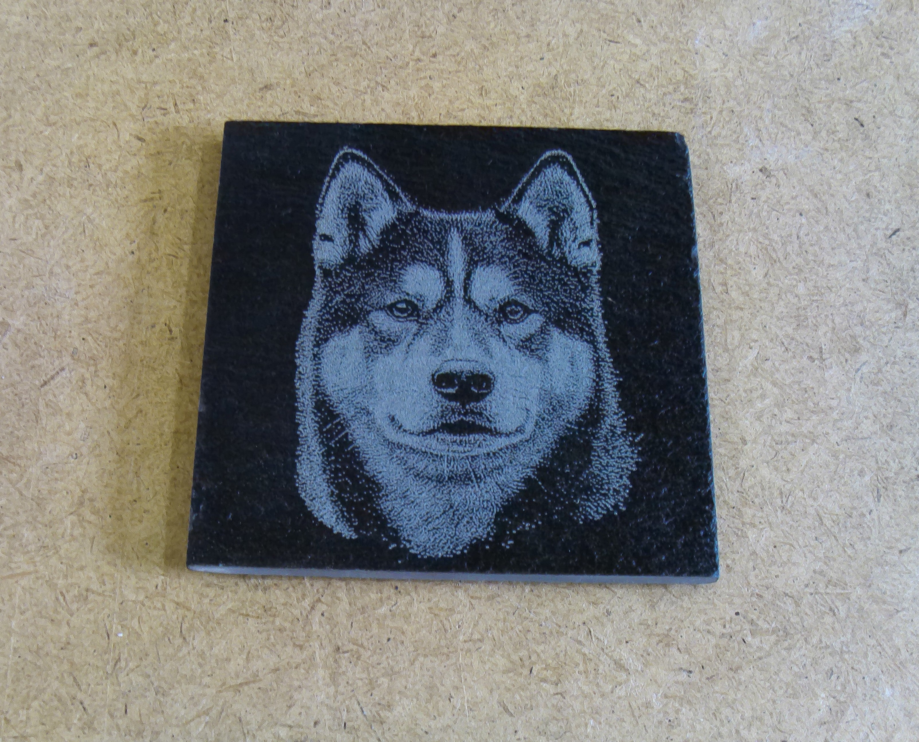 Dog Coasters