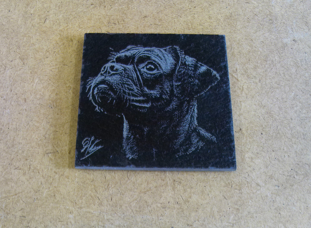 Dog Coasters