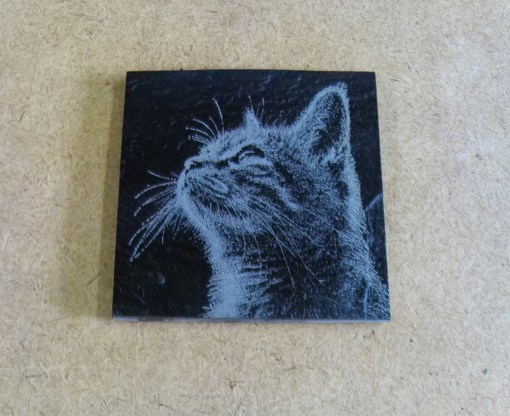 Cat Coasters