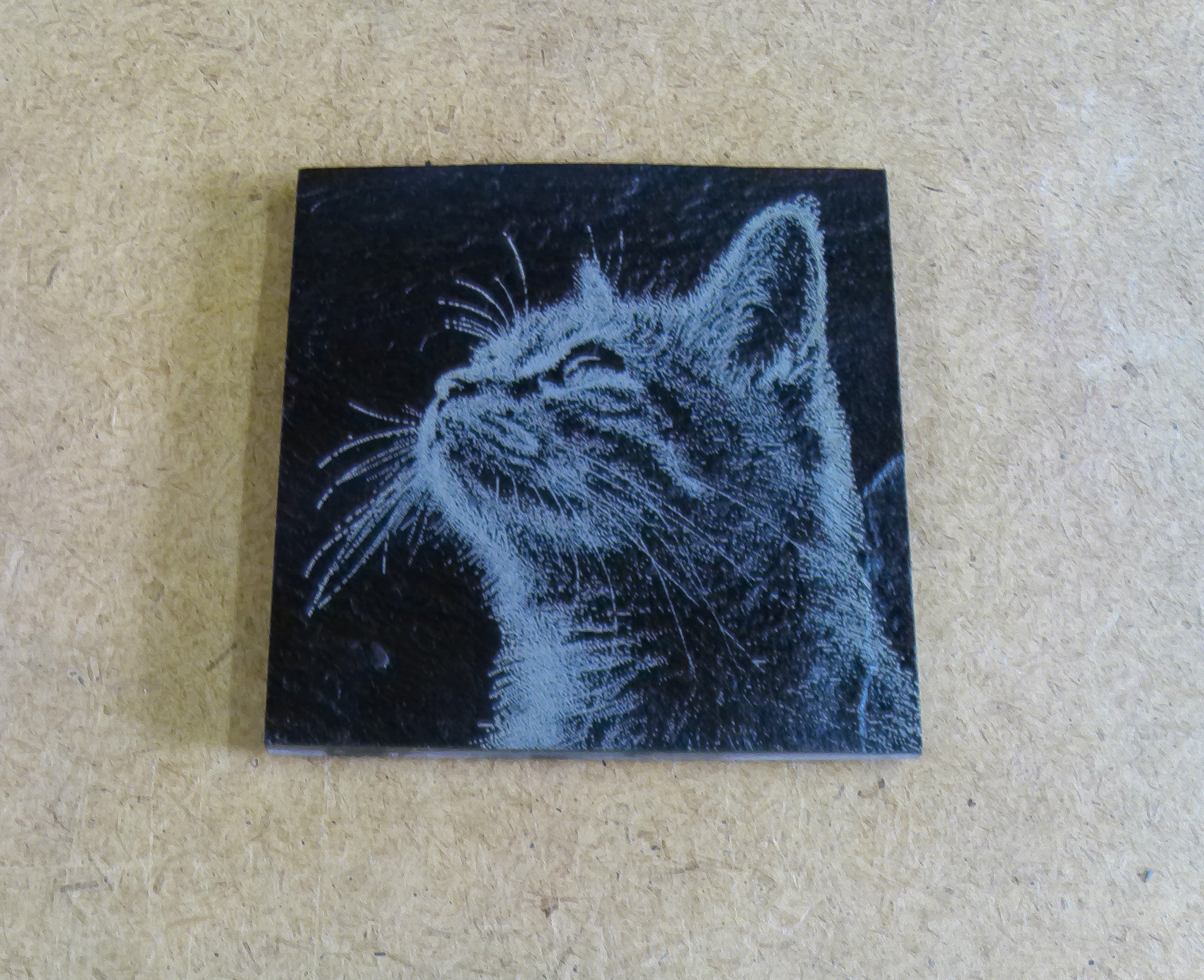 Cat Coasters