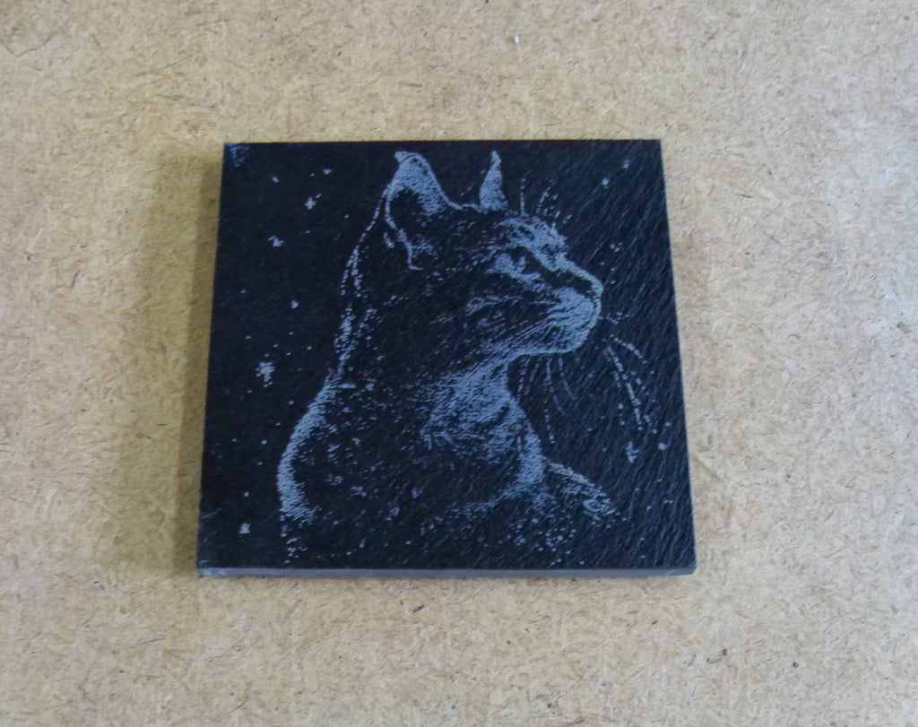 Cat Coasters