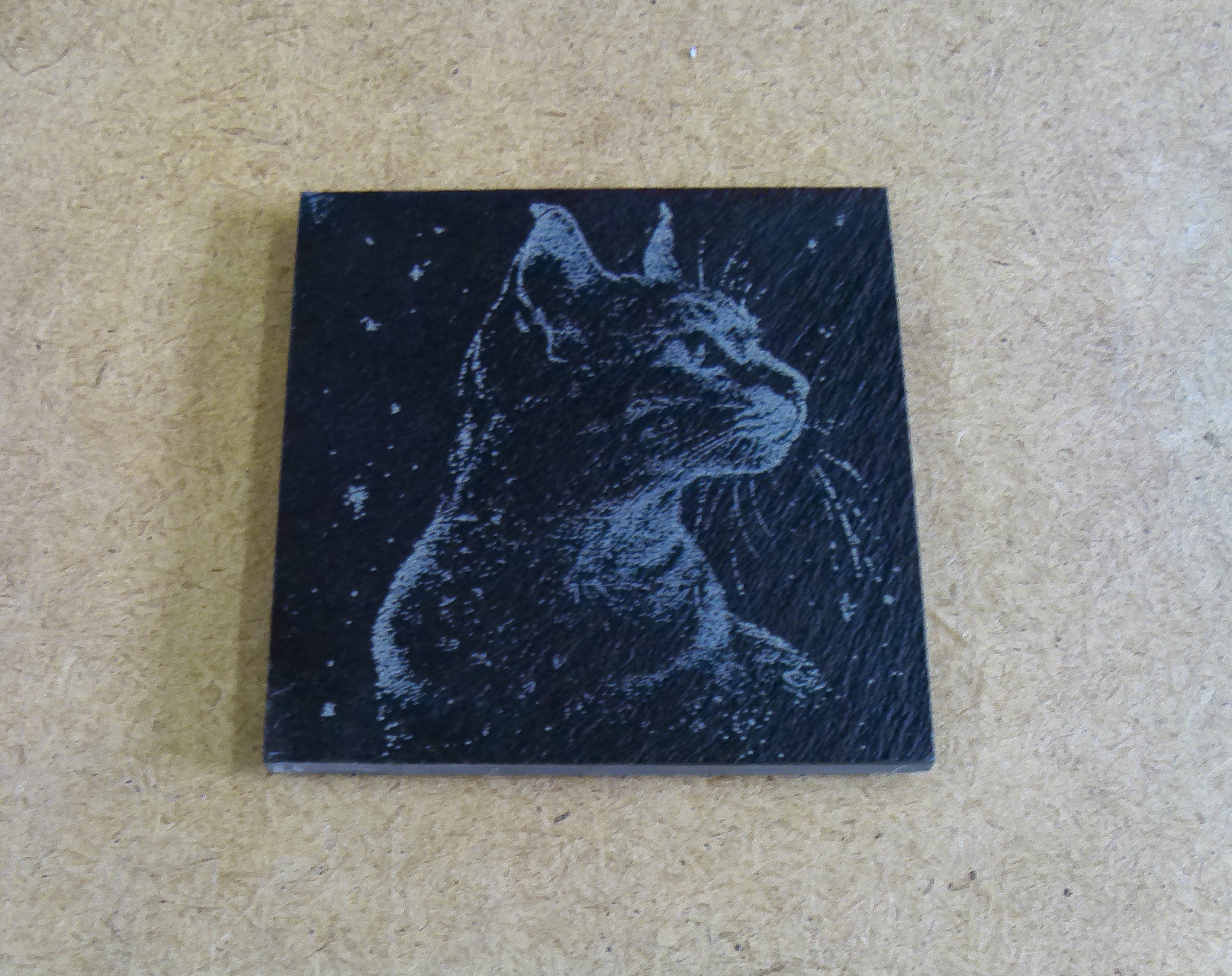 Cat Coasters