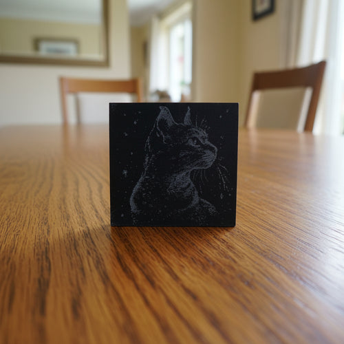 Cat Coasters