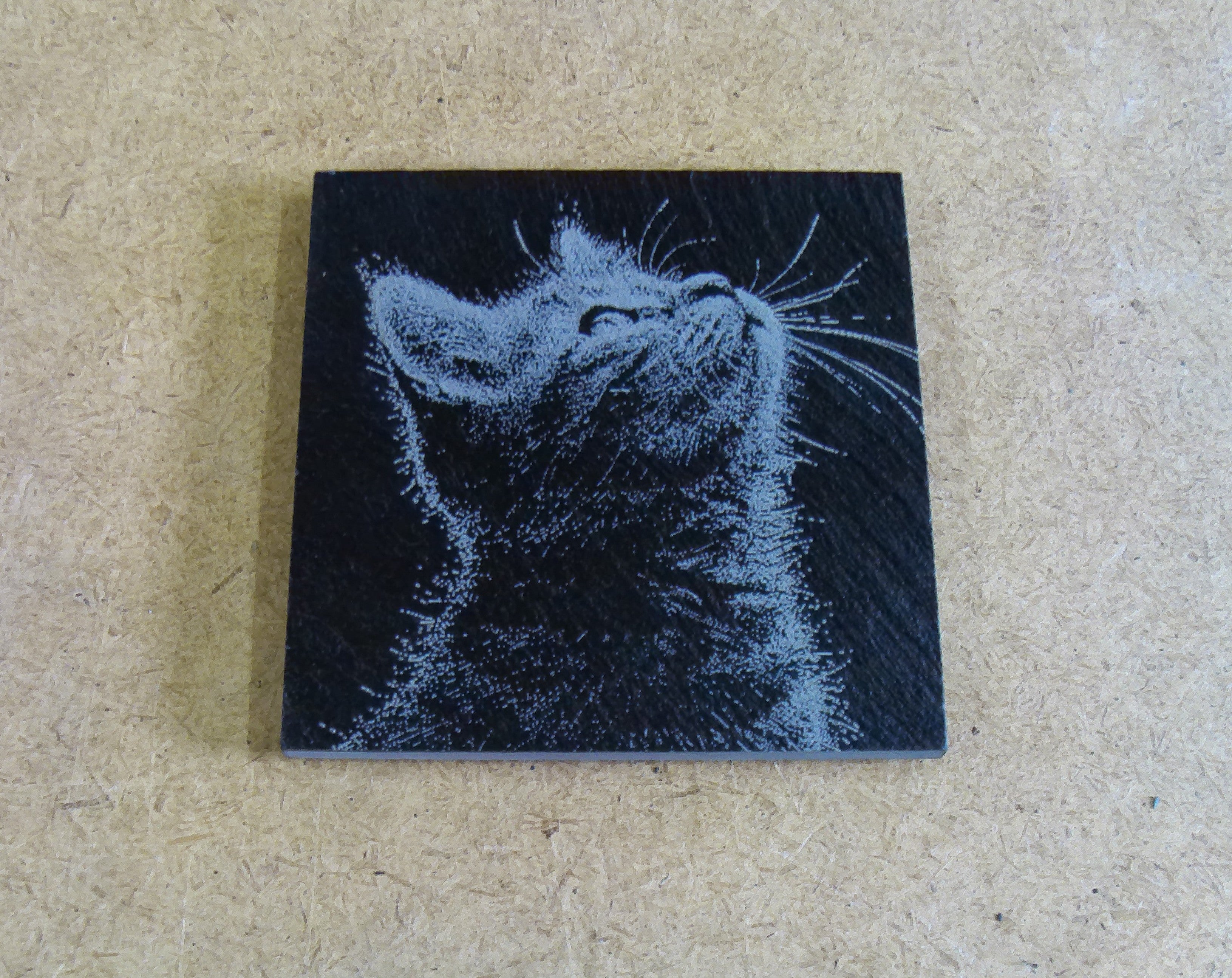 Cat Coasters