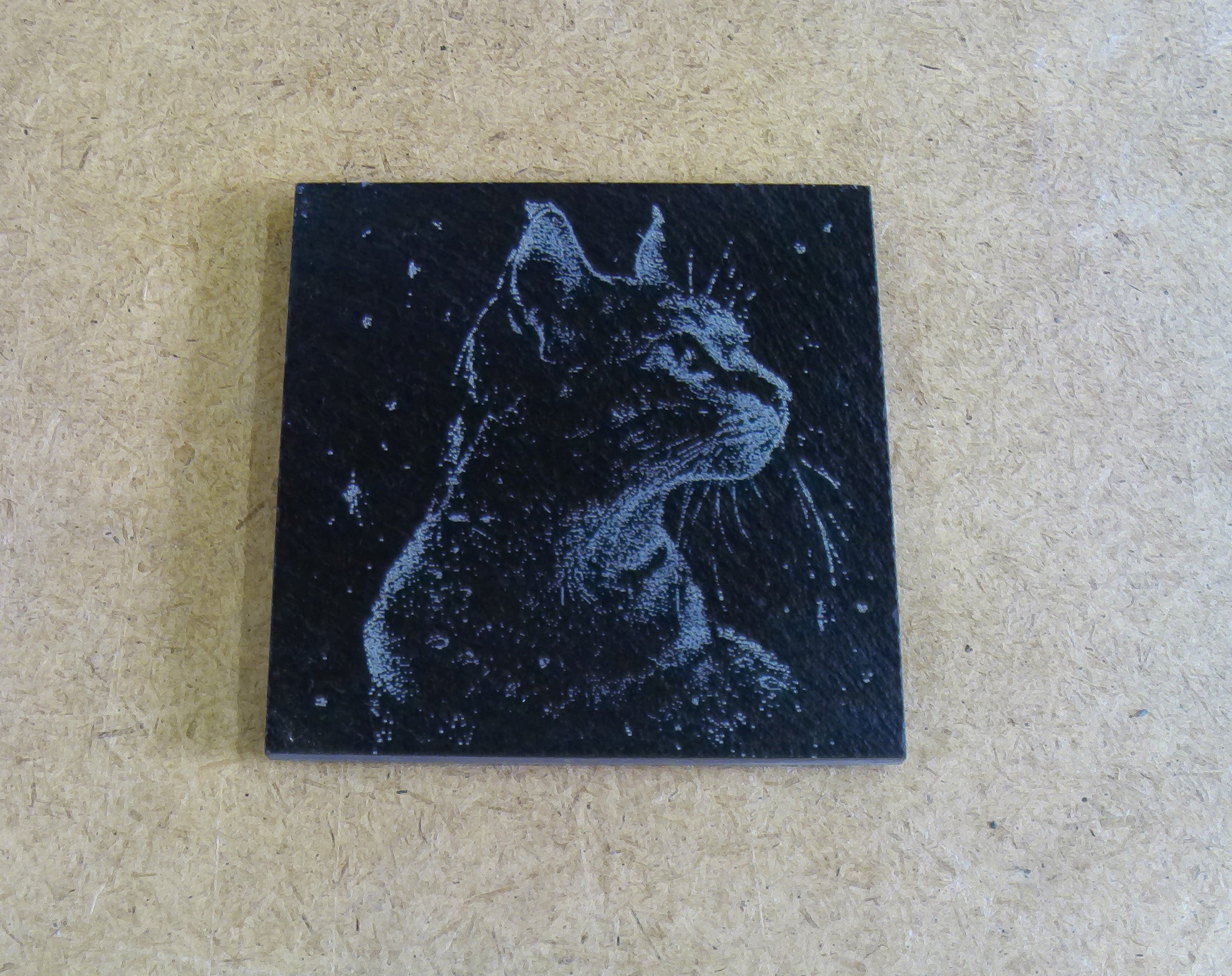 Cat Coasters