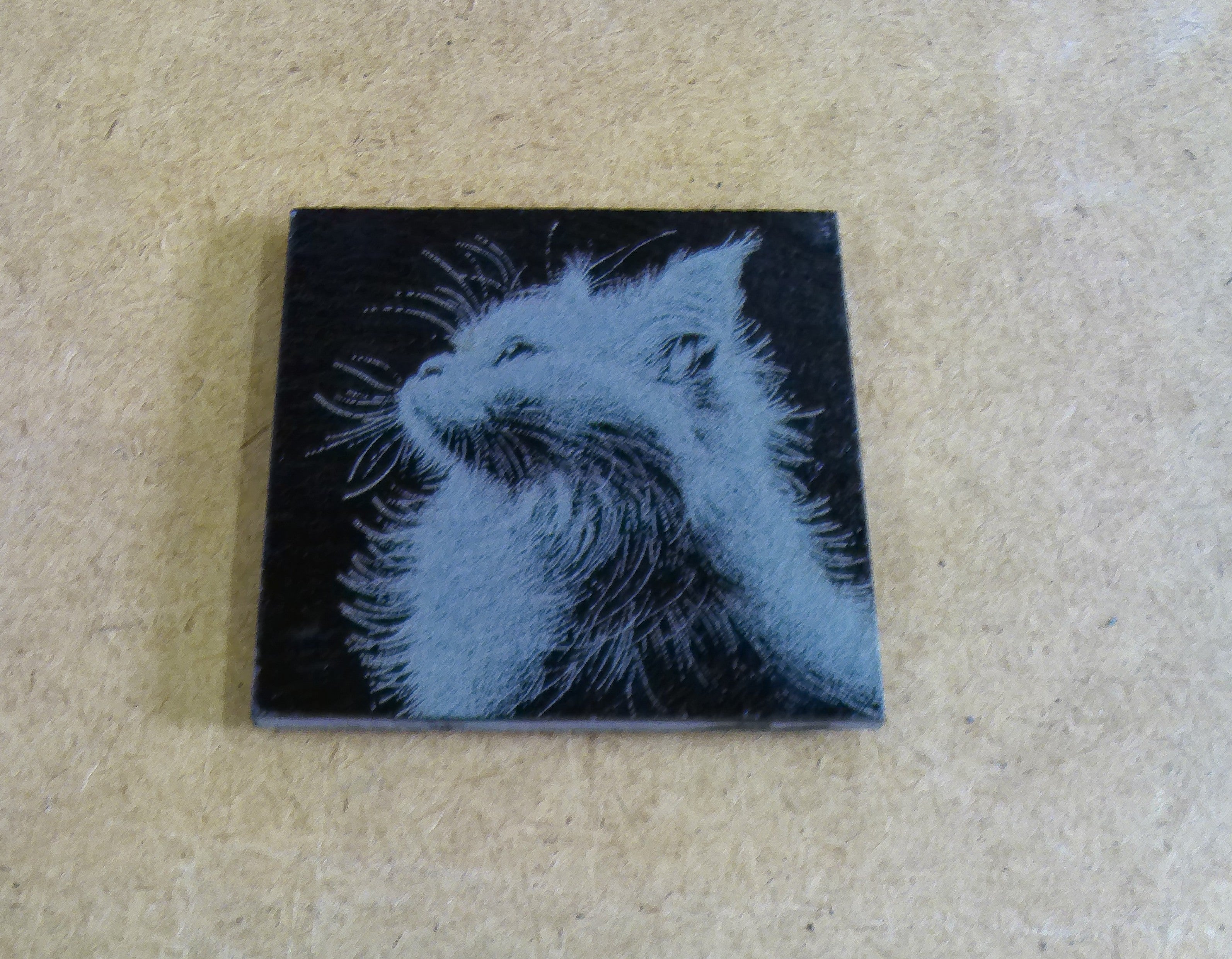 Cat Coasters