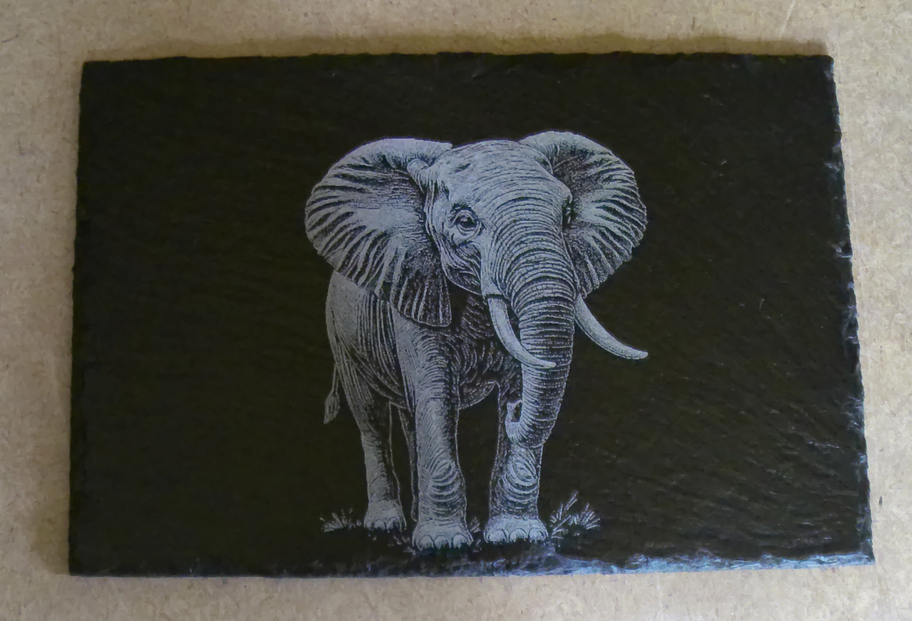 Elephant Placemat