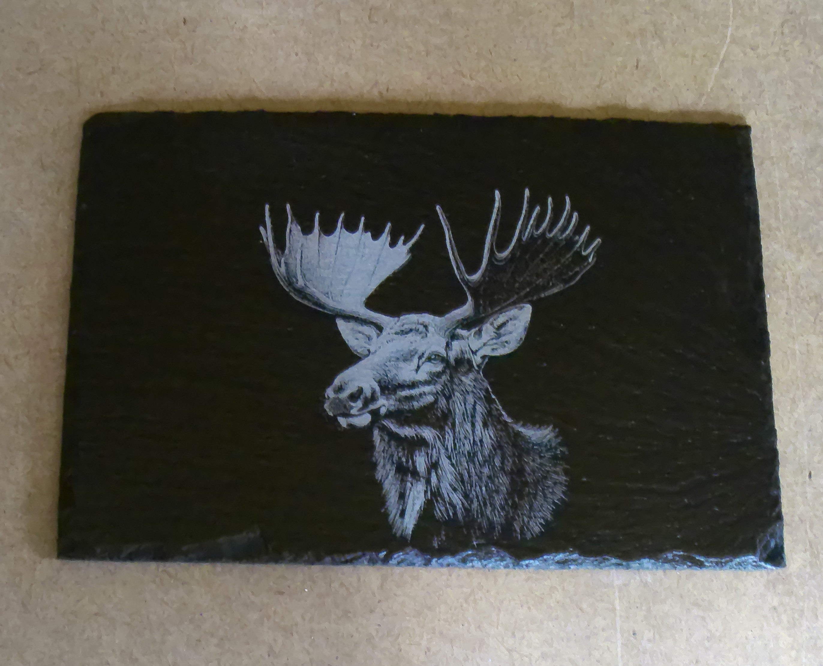 Deer Placemat