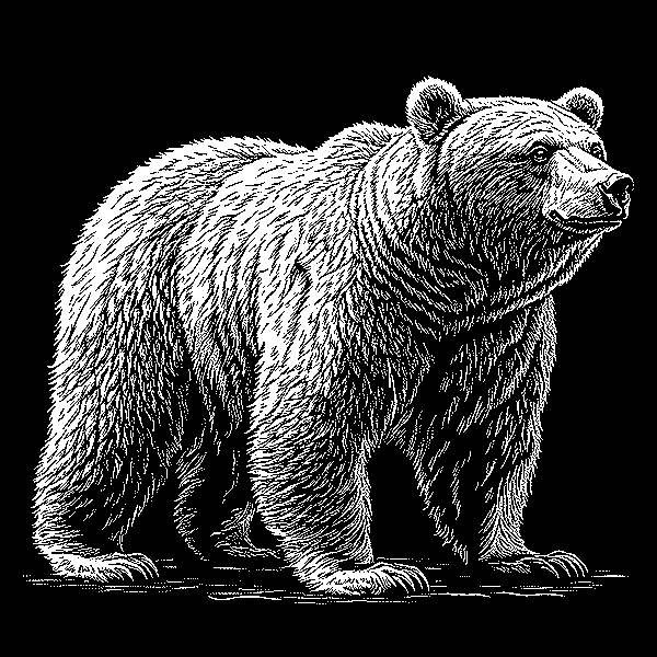 Bear Coasters