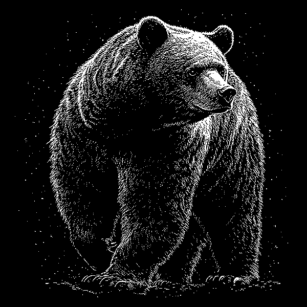 Bear Coasters